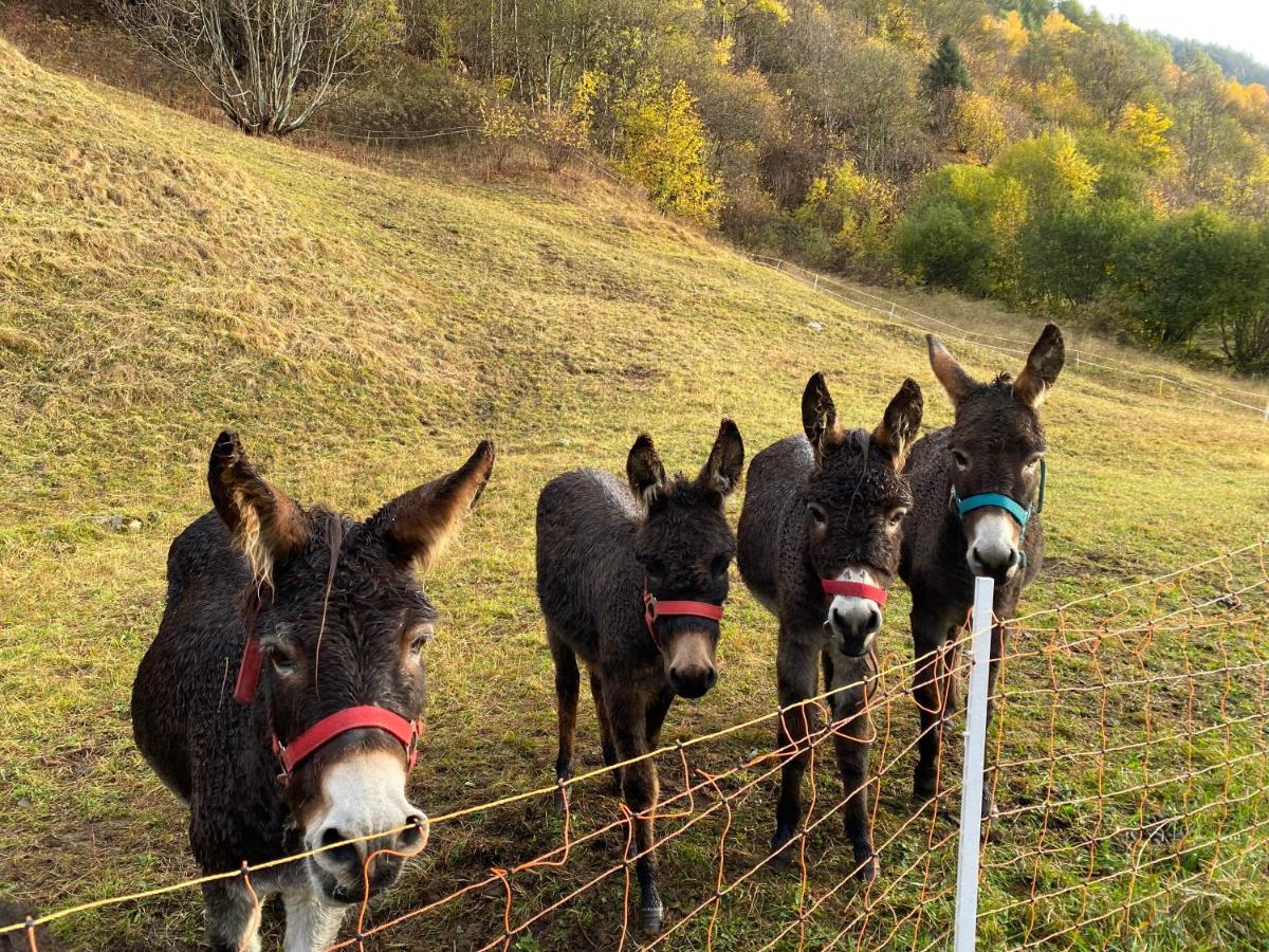 Baita Valtellina. Relax Nel Cuore Delle Alpi Grosio Exterior photo